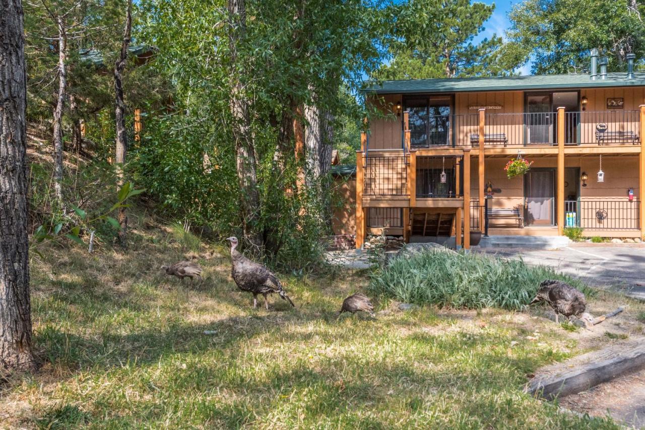 4 Seasons Inn On Fall River Estes Park Zewnętrze zdjęcie