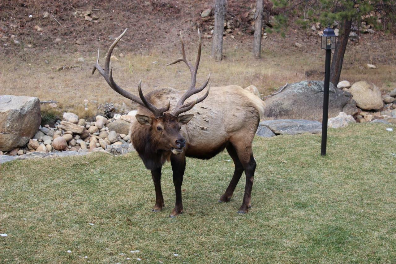 4 Seasons Inn On Fall River Estes Park Zewnętrze zdjęcie